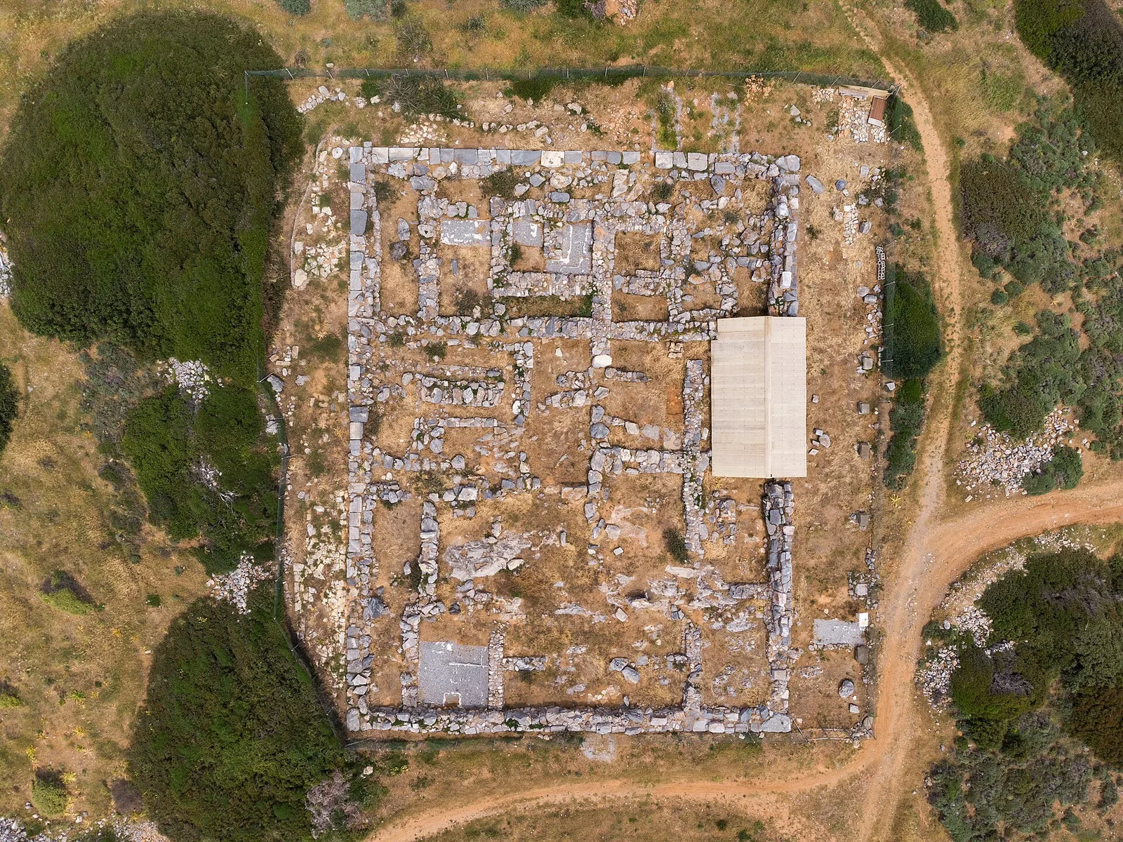 Chryssolakkos